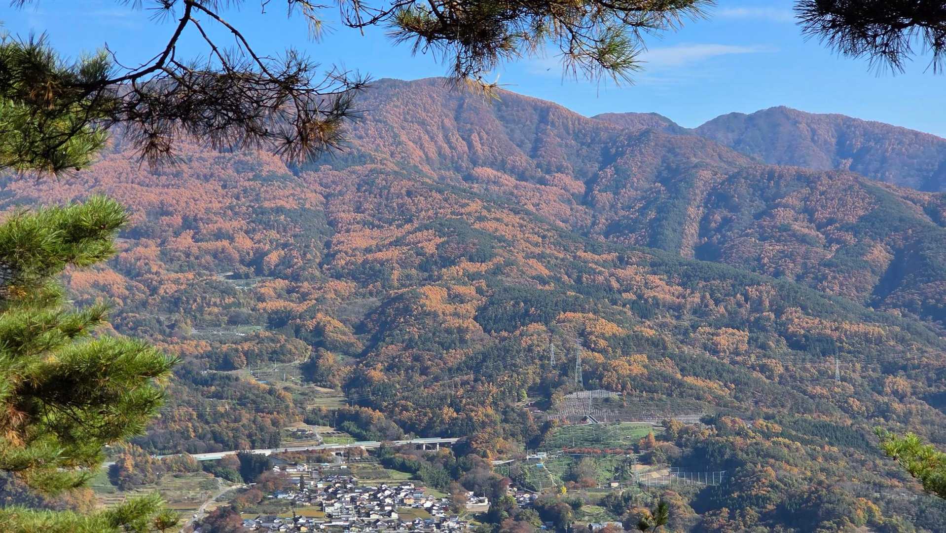 里山の紅葉がキレイ