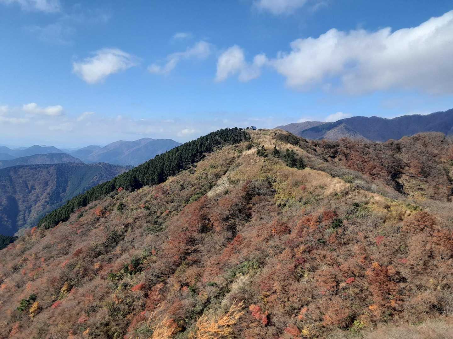 ヤビツ峠-表尾根-塔ノ岳-大倉尾根 縦走コースの写真