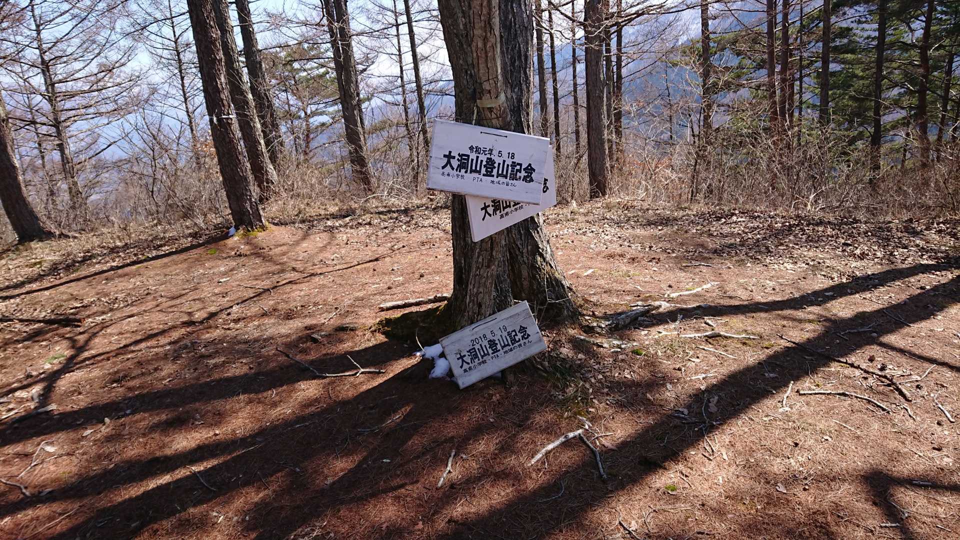 大洞山に到着。