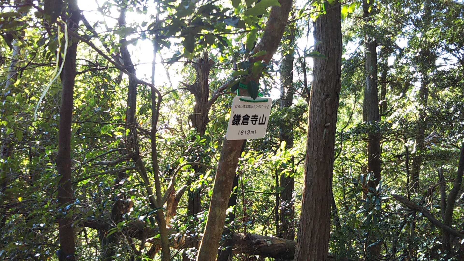 山頂到着
ここでティータイムにします