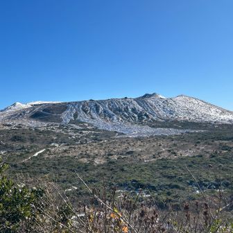 三原山の外輪付近はそこそこ積もっている模様。ドキドキしつつスタート。
