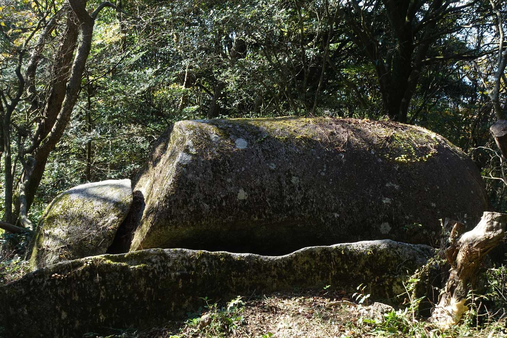 栗の木登山口-作礼山 往復コースの写真