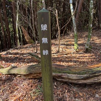 ココをブナの平方面へ😃