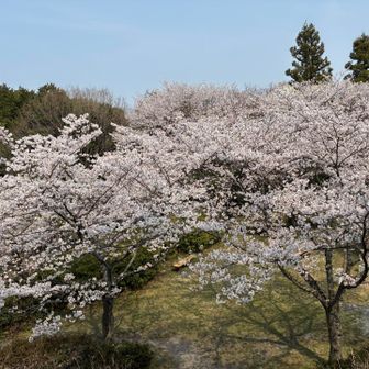 駐車場に戻りました😊