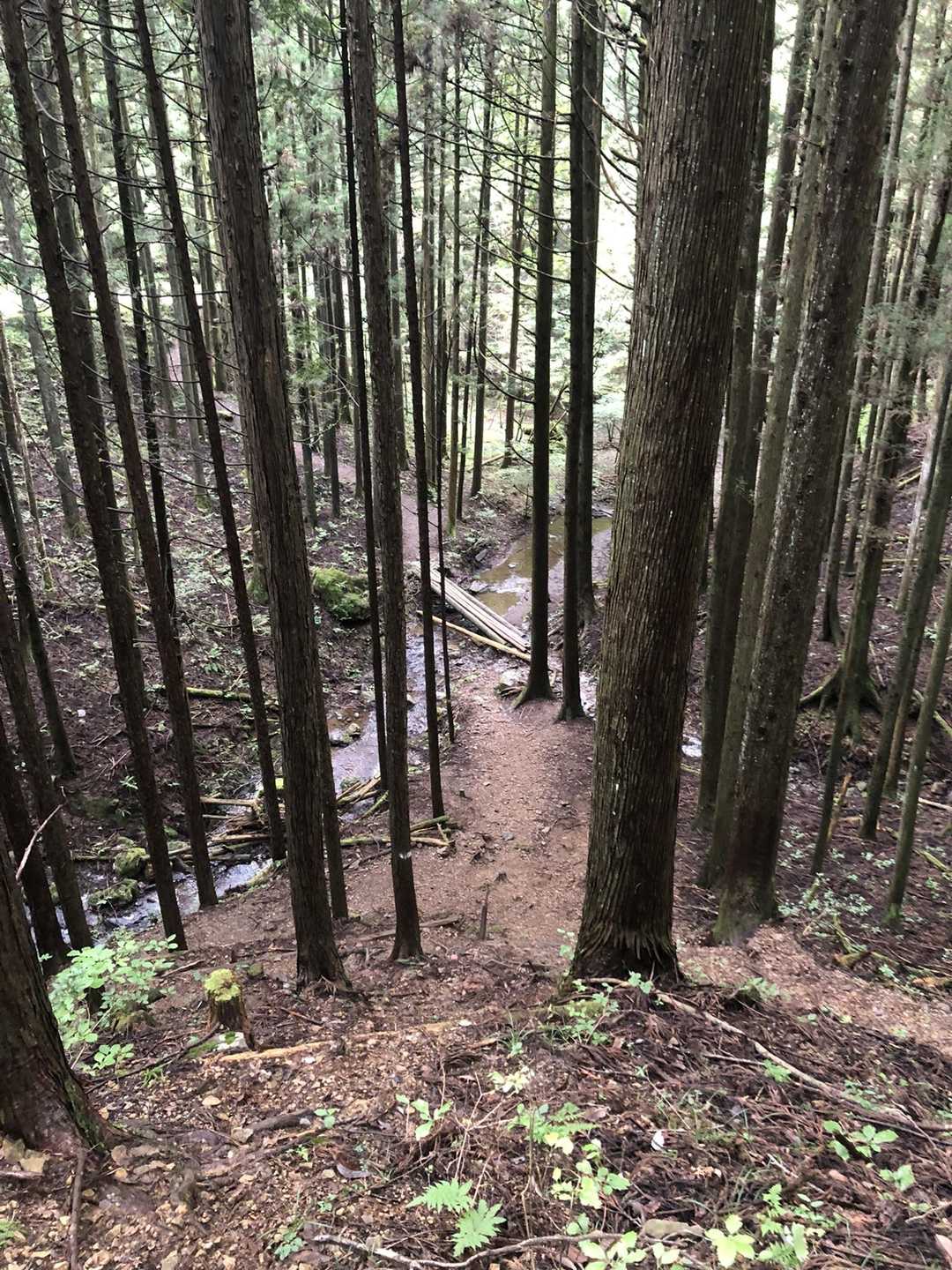 サクサク降りて、あの橋渡れば愛車が待ってま〜す、お疲れ山⛰ 😄