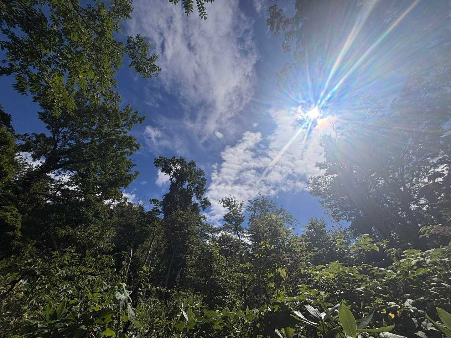 空を見上げると青空