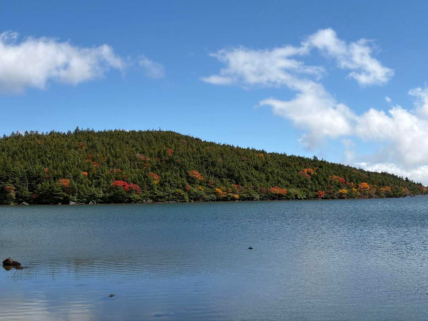 鎌沼一周コースの写真