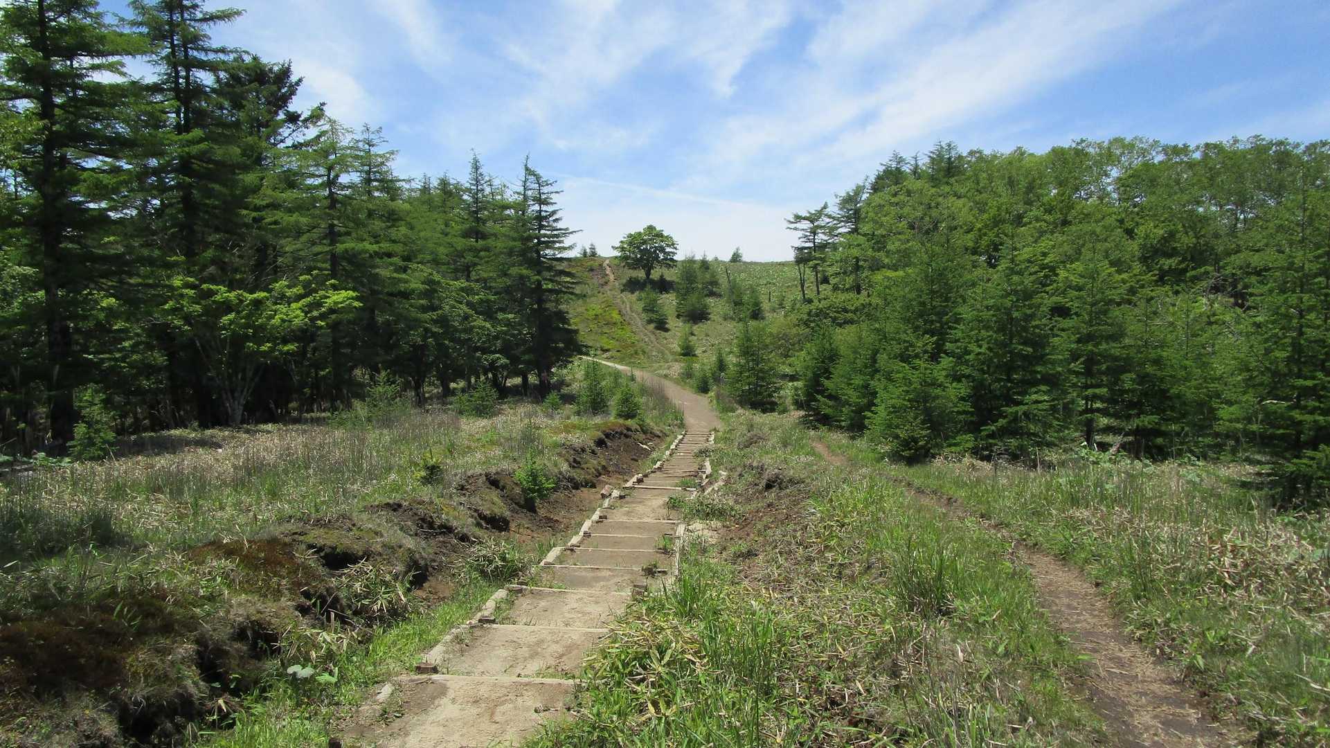 笠取山（作場平）の写真