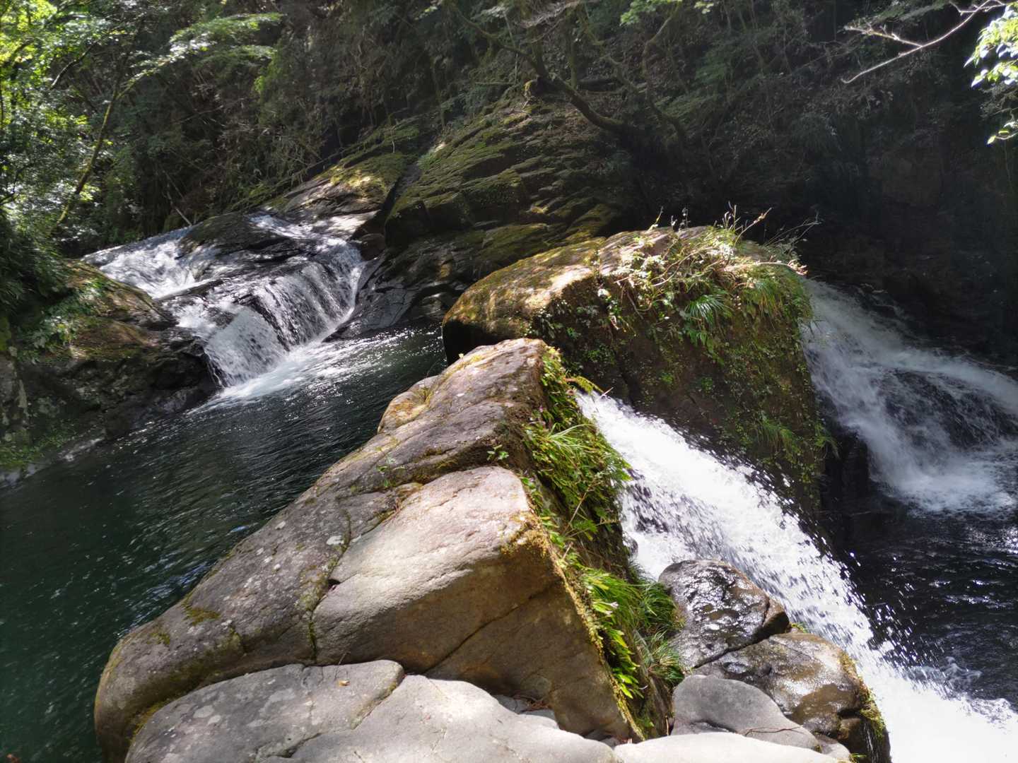 【赤目四十八滝】数々の滝・岩・淵が連続する変化に富んだ山歩道の写真