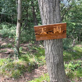 分岐点