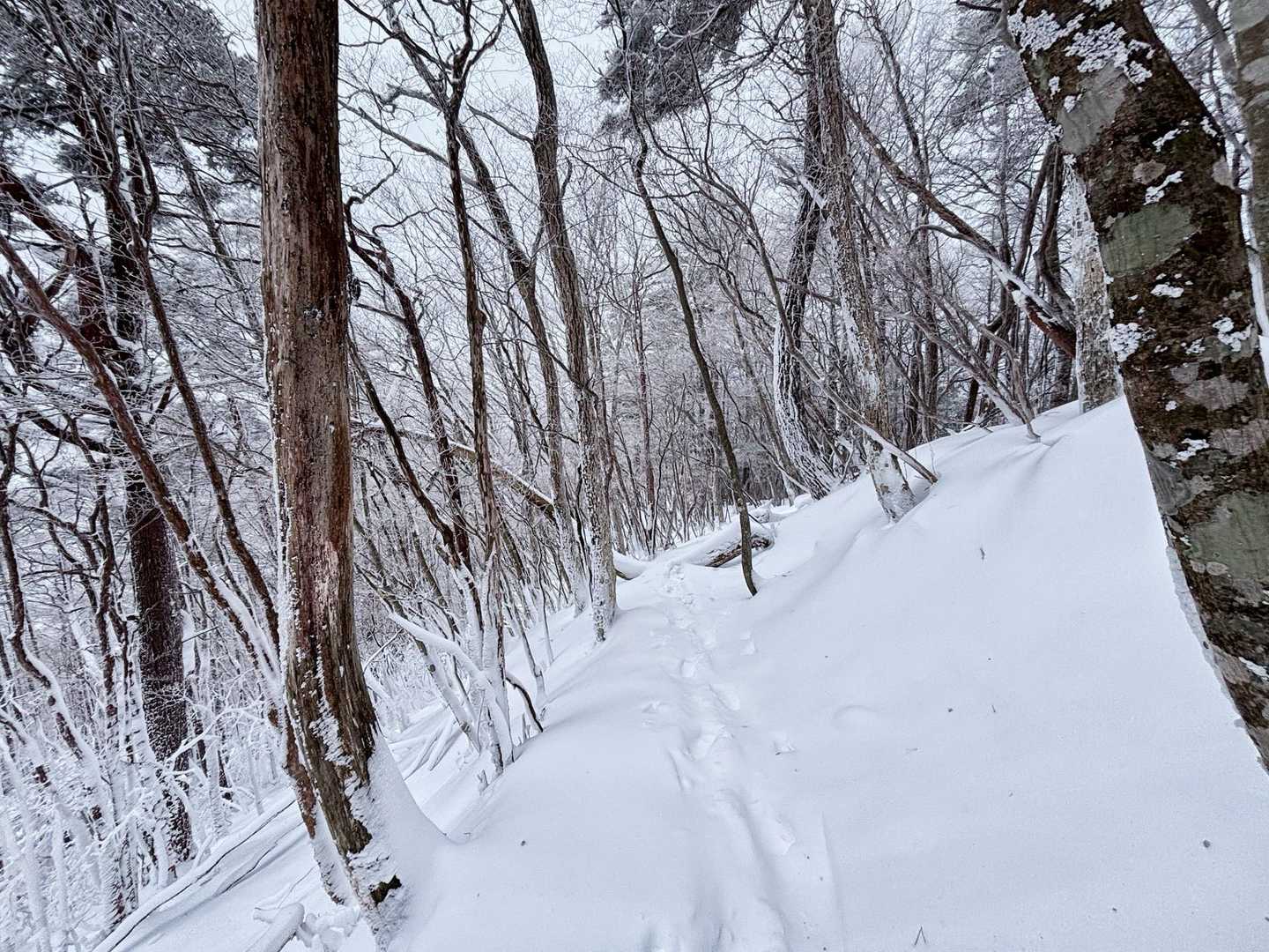 風が強いのと、時折雪が降って所々トレース消えてました