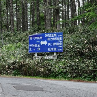 武石峠の林道分岐、ここから下ります