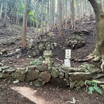 こんな所に小さな祠がありました🙏