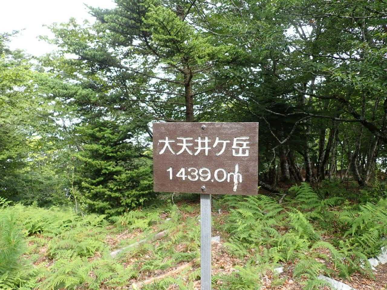 大天井ヶ岳1439m。山頂は広いけど周りの木々で眺望はなし
