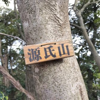 サクッと嬉しい源氏山は143m