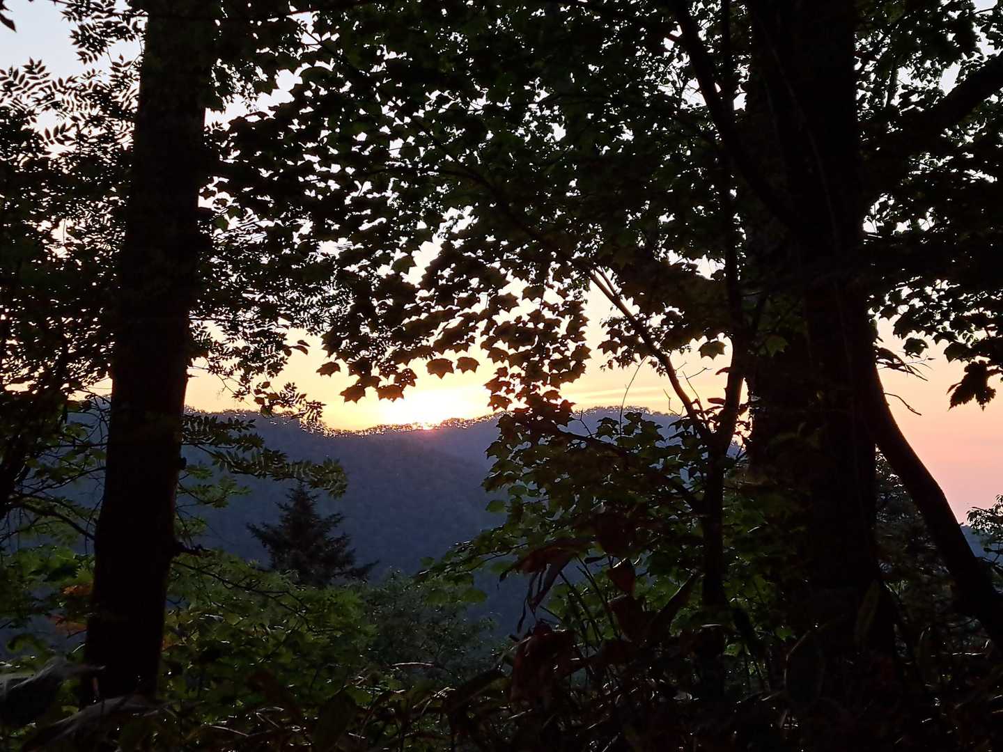 朝日が登ってきた