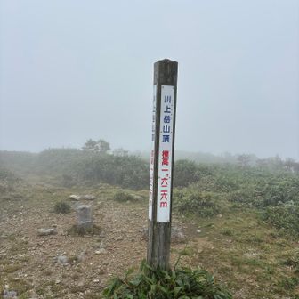 川上岳山頂到着❗️やはり真っ白。。。