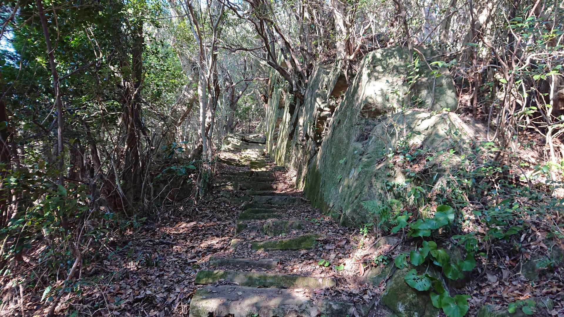 岩の壁の横を登ります