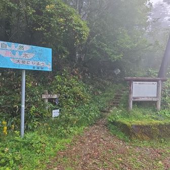 下山