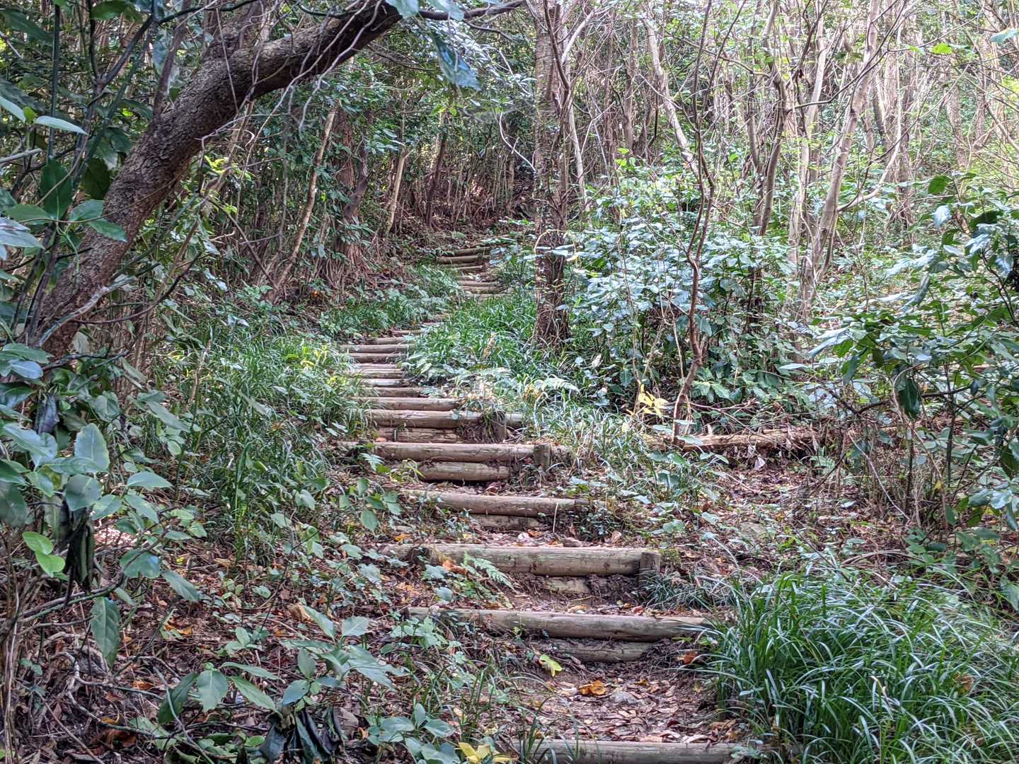 帰りの登り返し。
階段の先には・・・