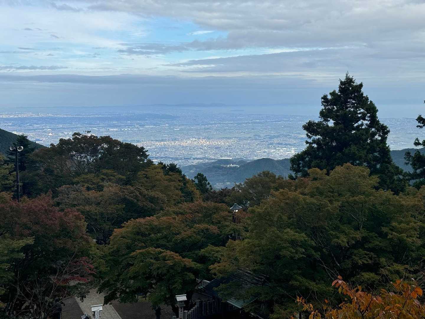少し🍁してて綺麗😍