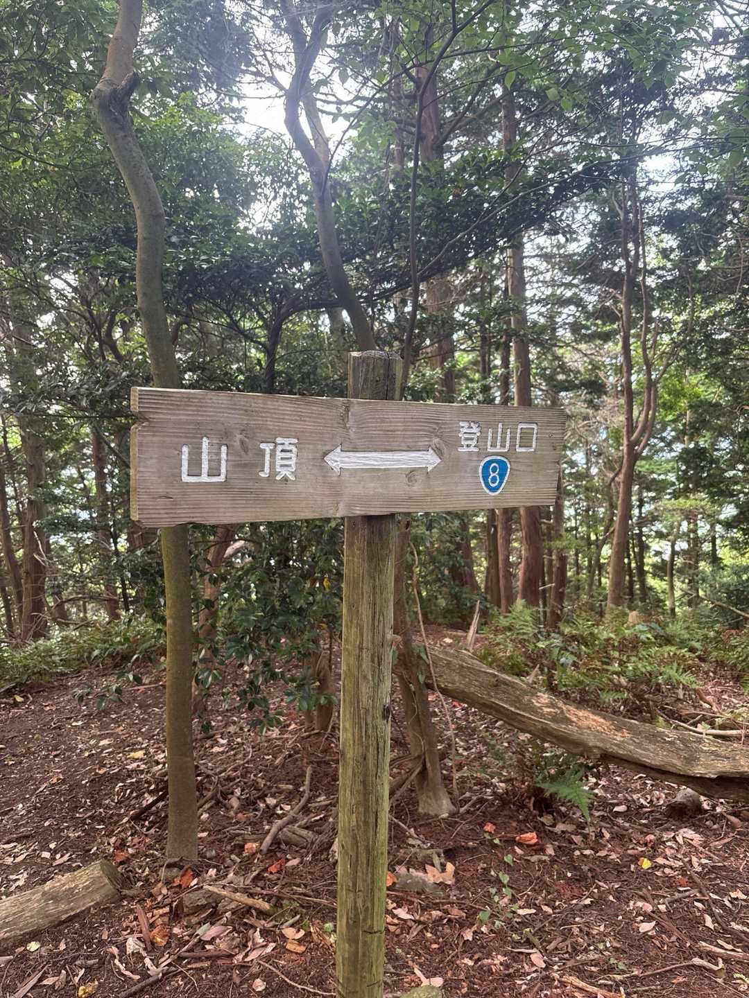 あっ、そうだ、ここを右に曲がったんだ🤔

真っ直ぐ行けば
A コースBコース Cコースの分岐になるのね😙
行ってみよう👊