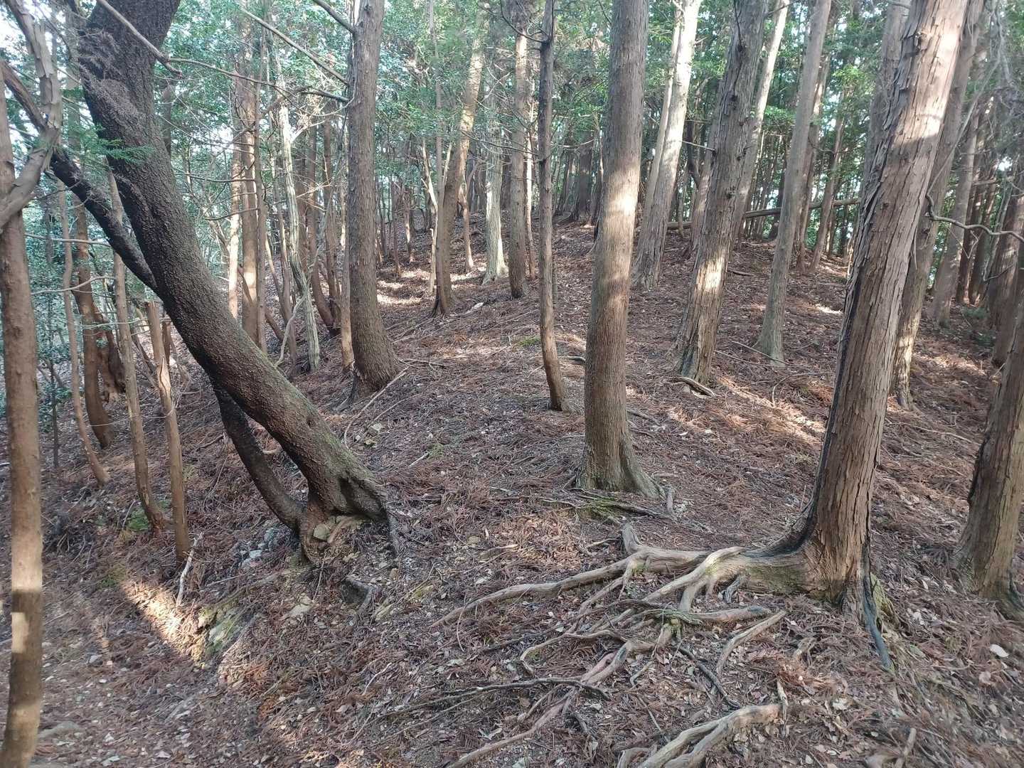 左の巻き道を下ります。