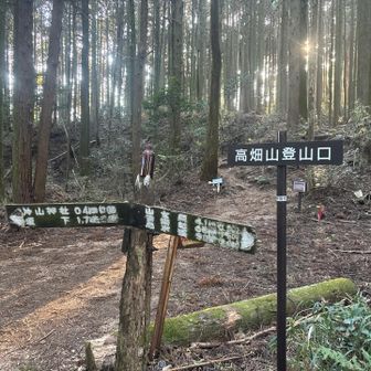 登山口まで下りて来ました😮‍💨