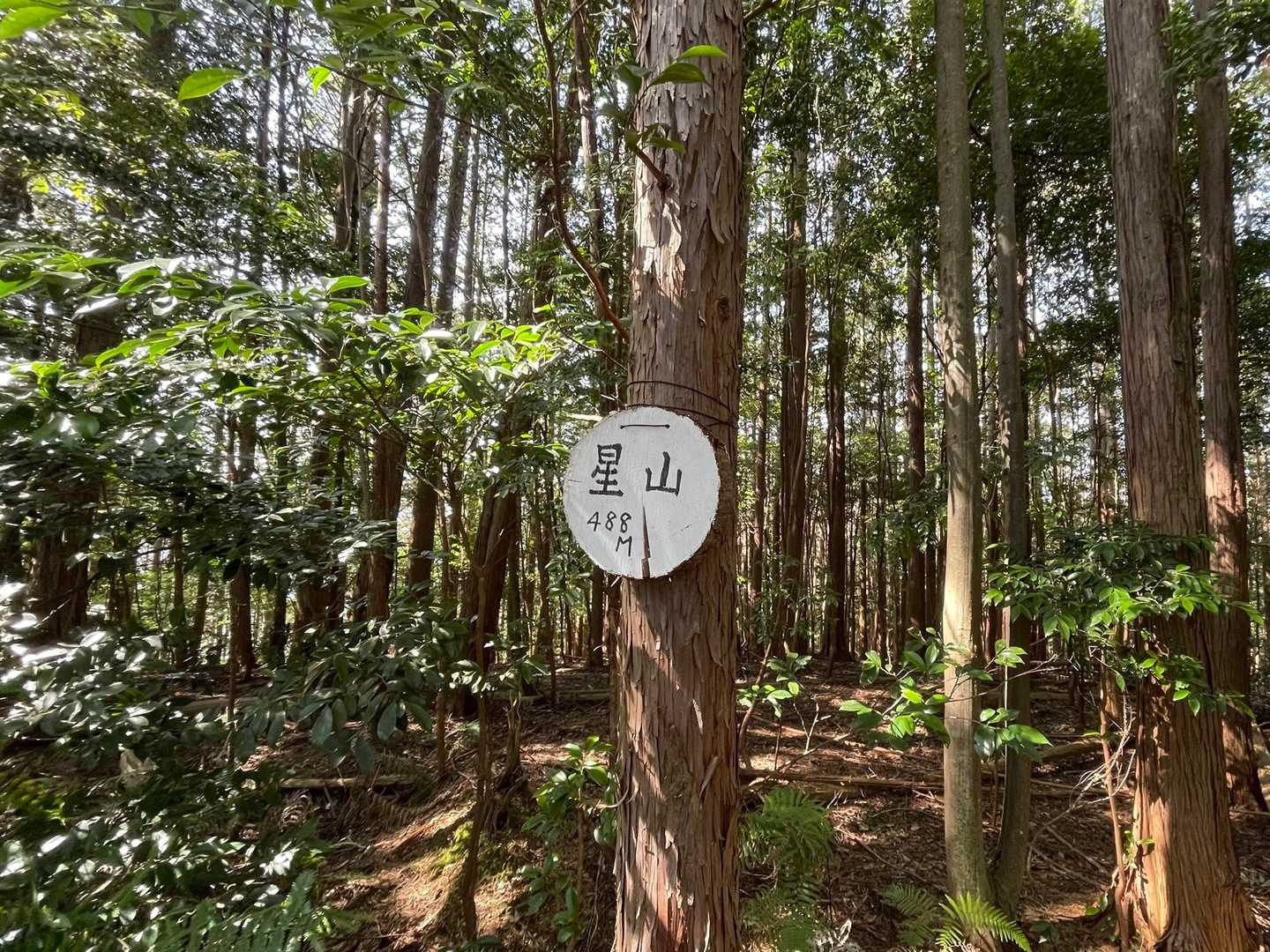 星山は展望無し。