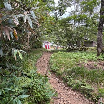 ガスってたのでのんびり下山