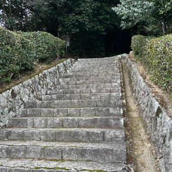 下までおりてきました。
大覚寺バス停から帰りました。
楽しい山行きに感謝🙏