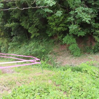 城山の取り付きは分かりにくいです。
幸いすぐに見つかったけど。
