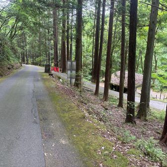 キャンプ場到着
みんなお片付け真っ最中