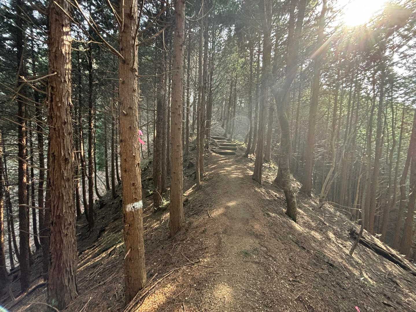 石老山登山口-石老山 周回コースの写真