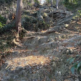 岩場っぽい登り