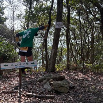 本番と思って頑張るためにゼッケンをつけてきました。