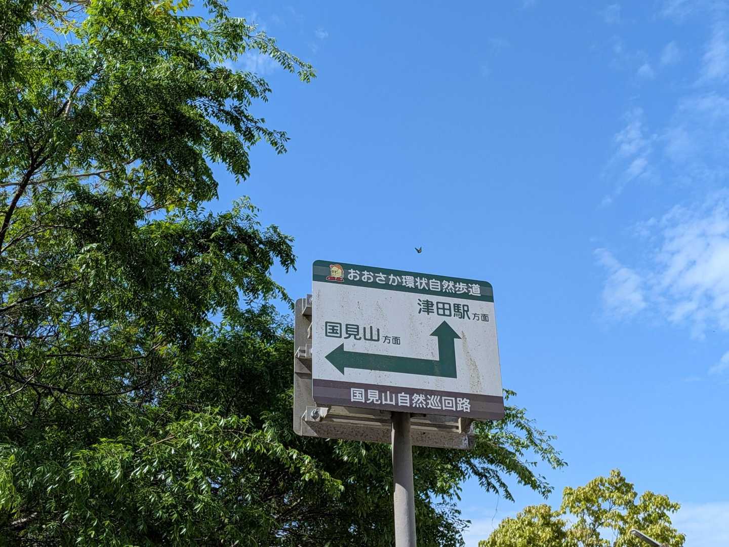 あらッ、めっちゃ晴れてるやん☀
伯母子岳も晴れてたかなあ