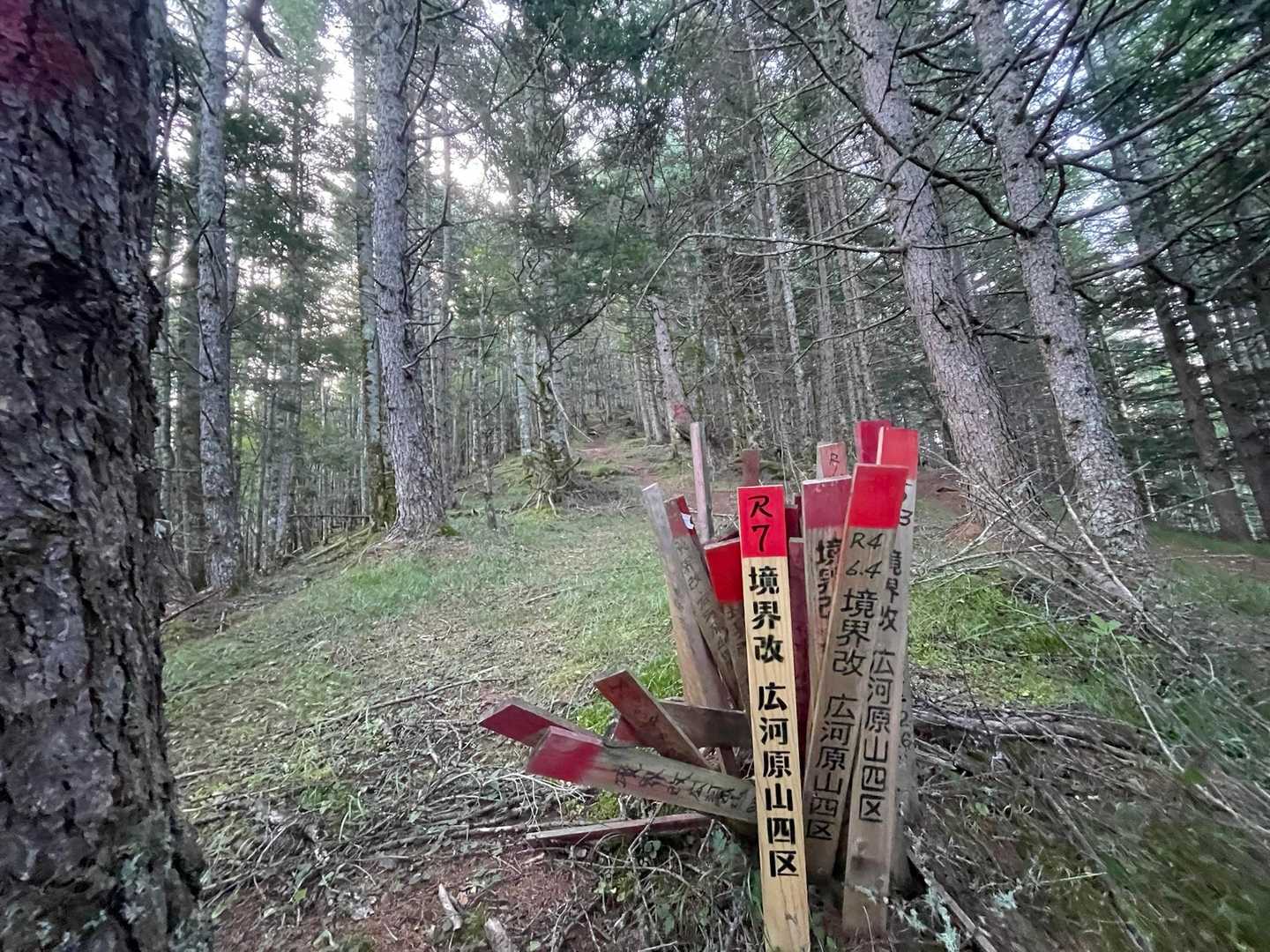 そうそう
八ってゴロ石の急登イメージだけど🪨
ここの山道は👣真っ直ぐのユルユル🤩