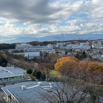 大山・塔ノ岳などが見えた⛰️
富士山は雲の中☁️