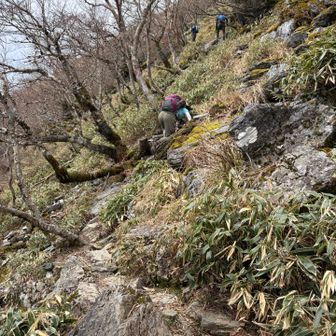 登山者さんもすれ違いもたくさんで

さすが人気のお山👍