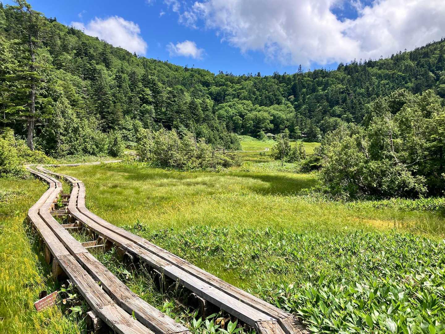 四十八湿原🍃