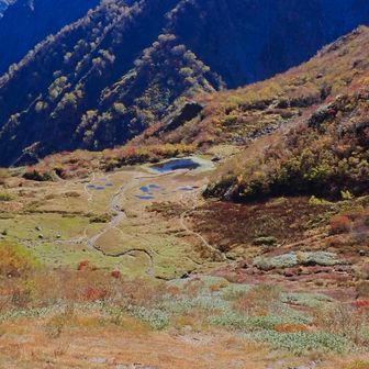 登山道から平の池
