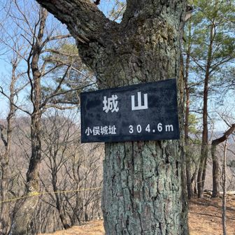 小俣城址の城山に着きました。山頂はわりと広かったです。