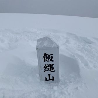 マタ・ドガース