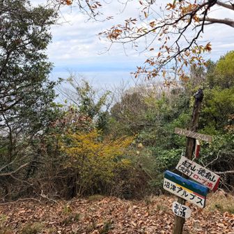 小鷲頭山山頂
小と言いつつこっちの方がまだ展望ある