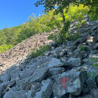 山頂の電波塔が見えてきた
ここを登り切れば