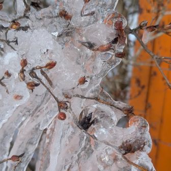 氷柱を近くで見てみる
