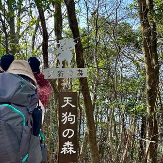 天狗の森山頂、535M