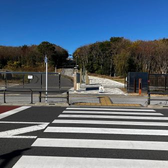 ここから海の森公園です