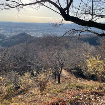 高台からの景色もよいね👍